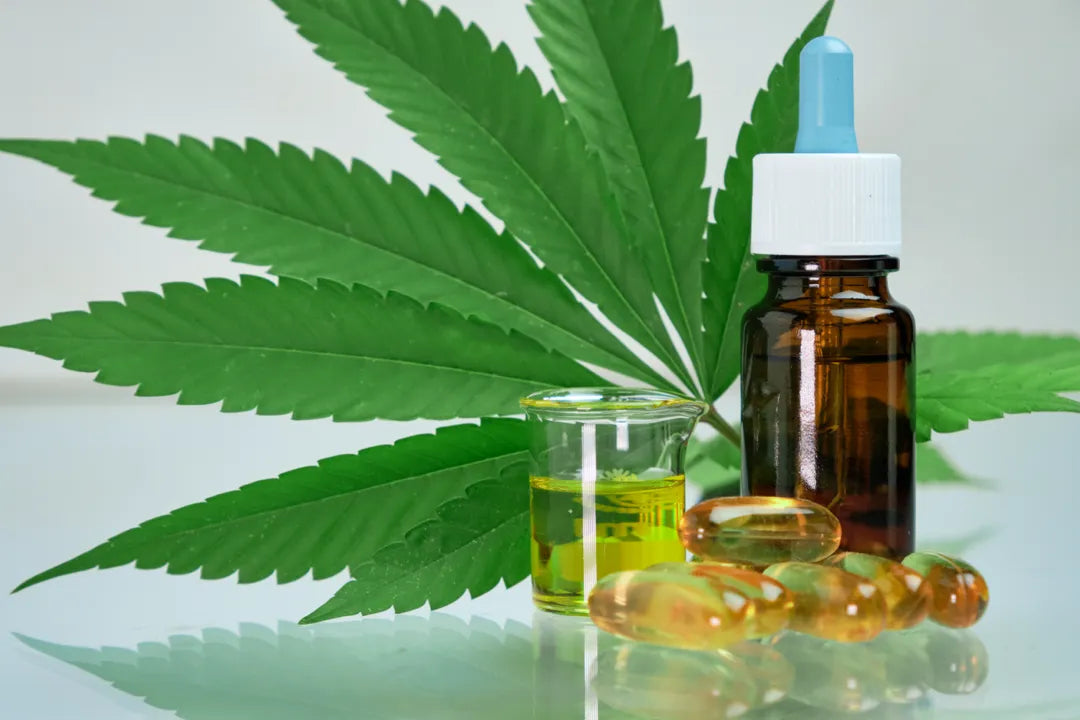 CBD oil with cannabis leaf in the background.