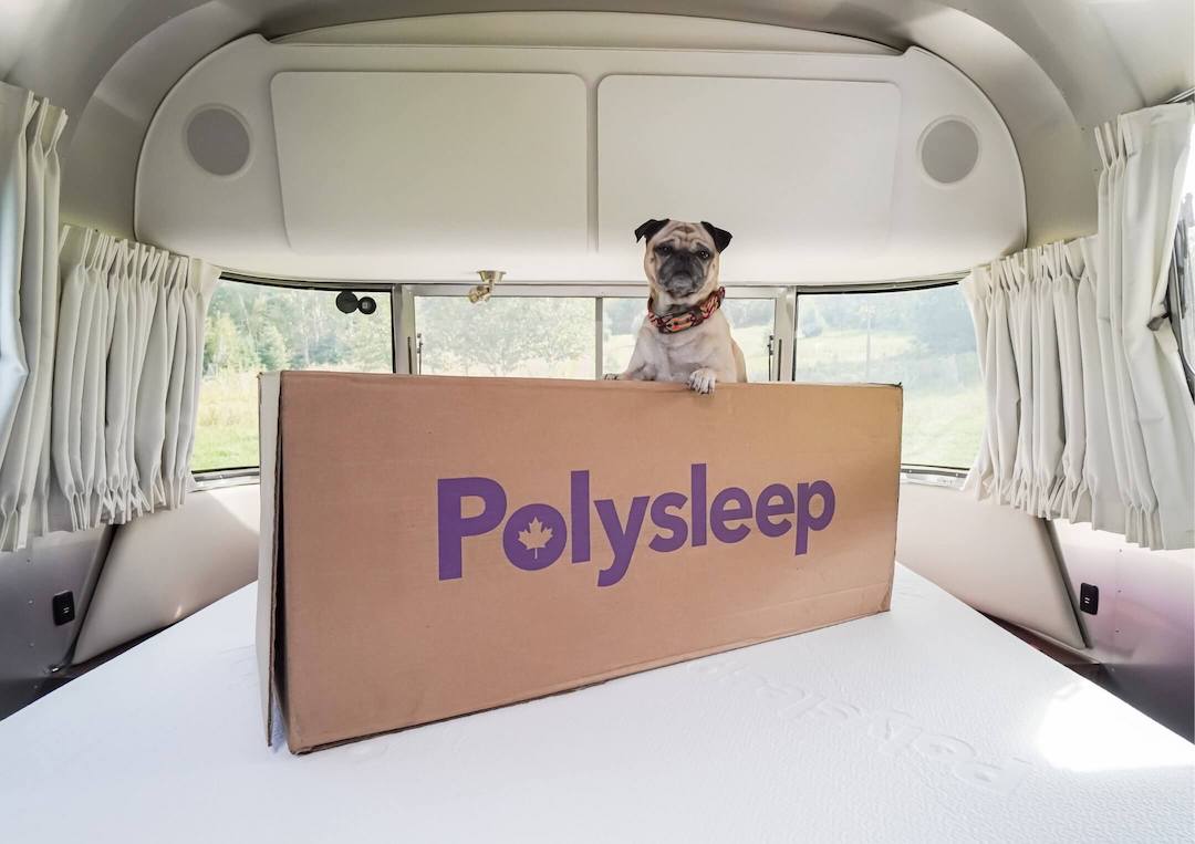 A dog on Polysleep's VR mattress in a trailer bedroom