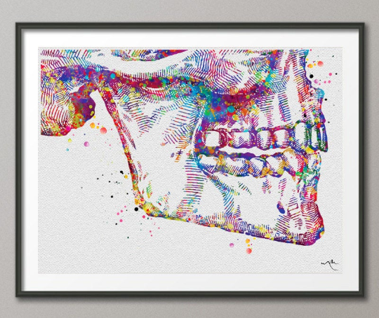 Tooth Anatomy Watercolor Print Teeth Anatomy Art Vintage Art Dental Cl Cocomilla