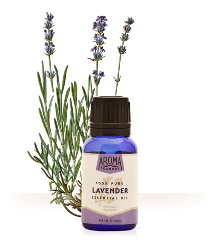 Lavender Essential Oil