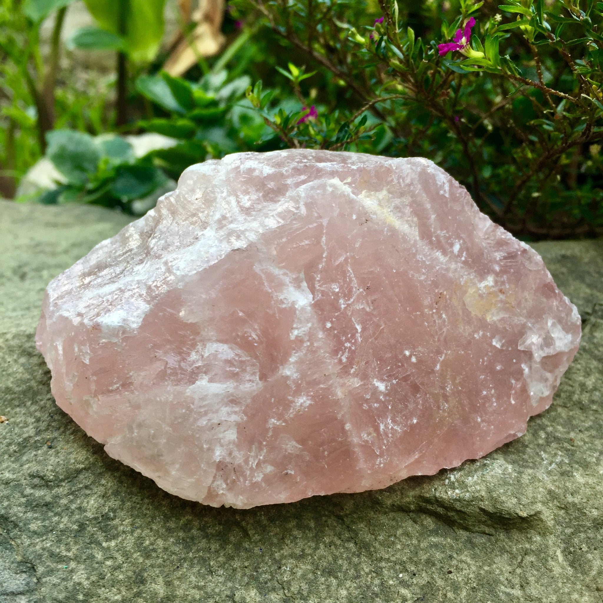 large raw rose quartz