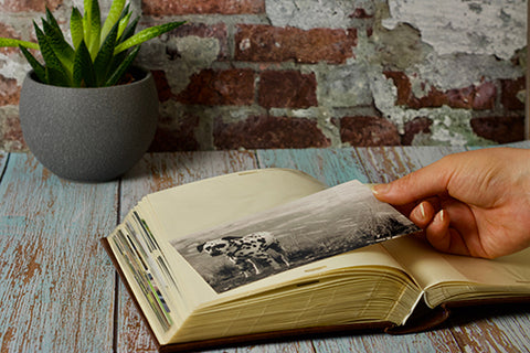 How to create a photo album: 7 steps bring your personal story to life