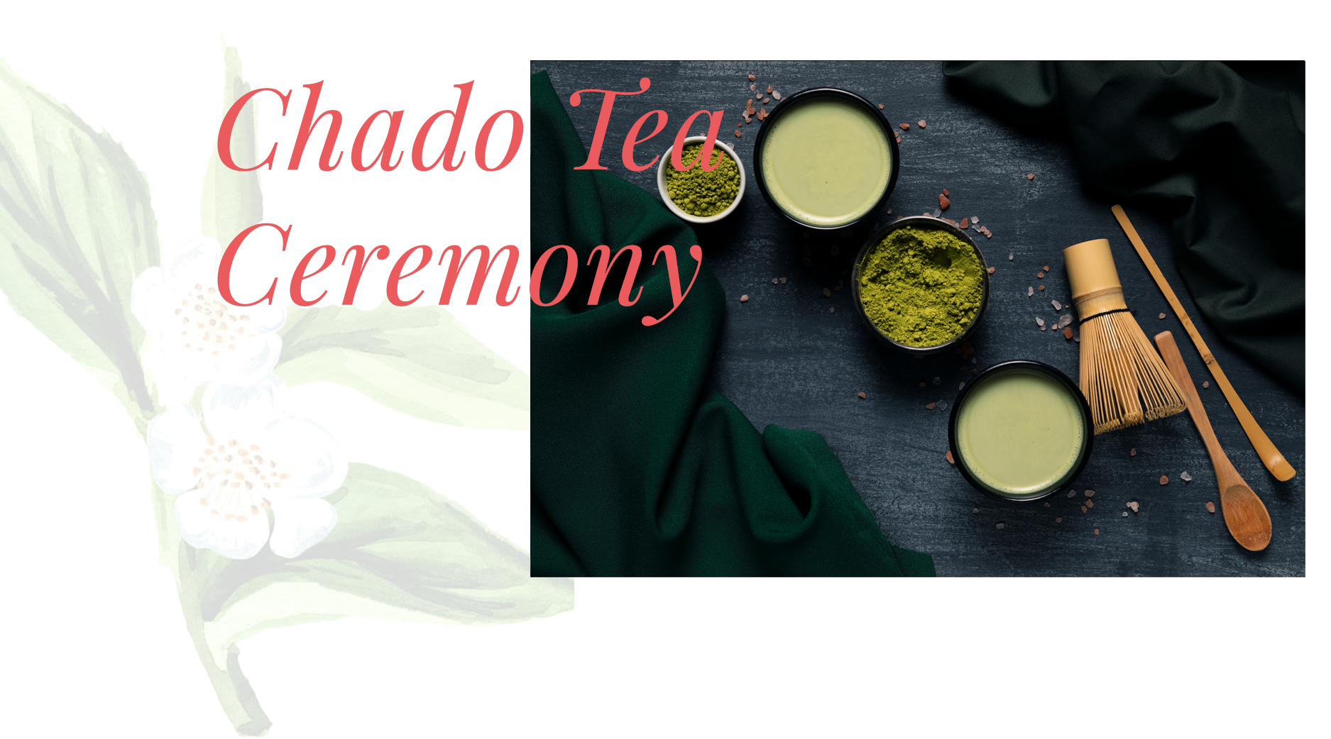 Matcha Tea & It's Importance To Ceremony