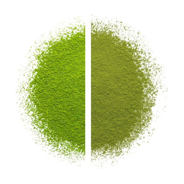 Comparing japanese matcha to chinese matcha. Japanese matcha is of higher quality. This is why.