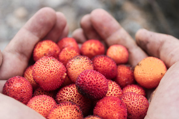 Can lychee help you lose weight?