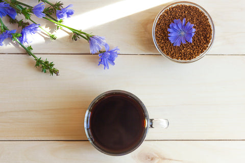 drinking chicory root may help with appetite regulation and be a good coffee alternative