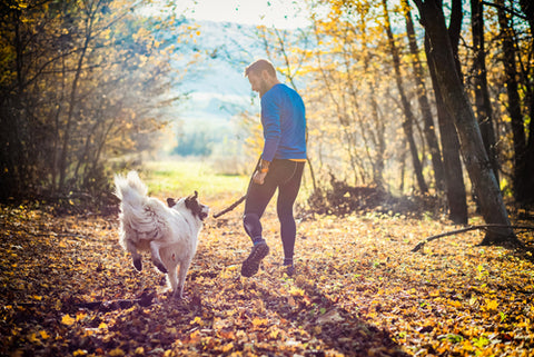 walking the dog has health benefits