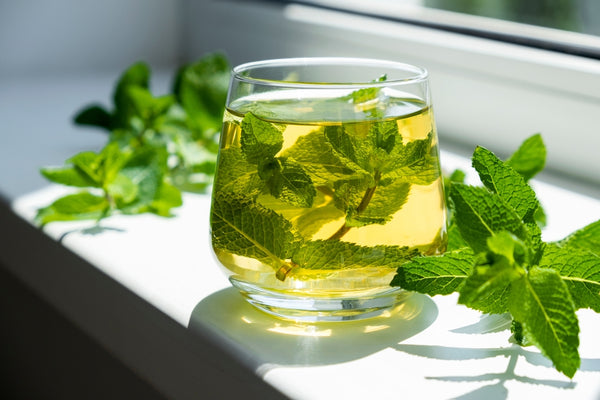 Peppermint tea for GI support