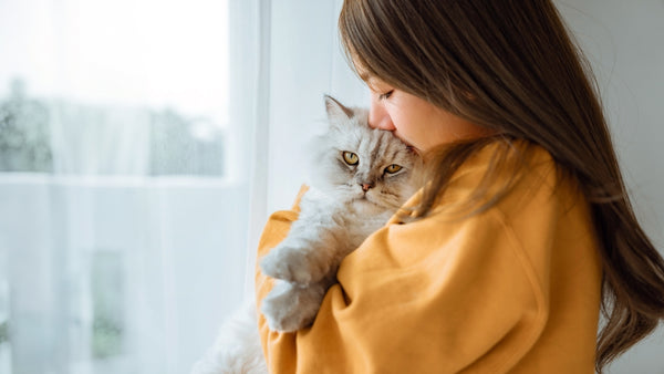 Can cats have green tea?