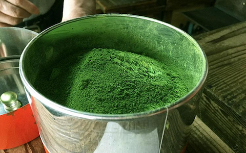 large silver bowl full of ceremonial matcha powder, super premium grade tea ready for packaging