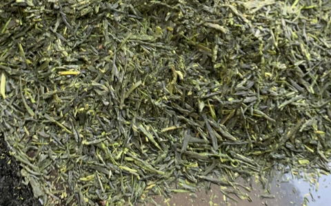 tencha tea leaves on a black plate during a matcha tea tasting, the leaves before stone-grinding to matcha powder