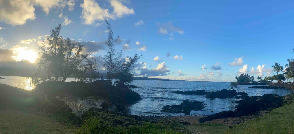 Scenic landscape of mountain and ocean