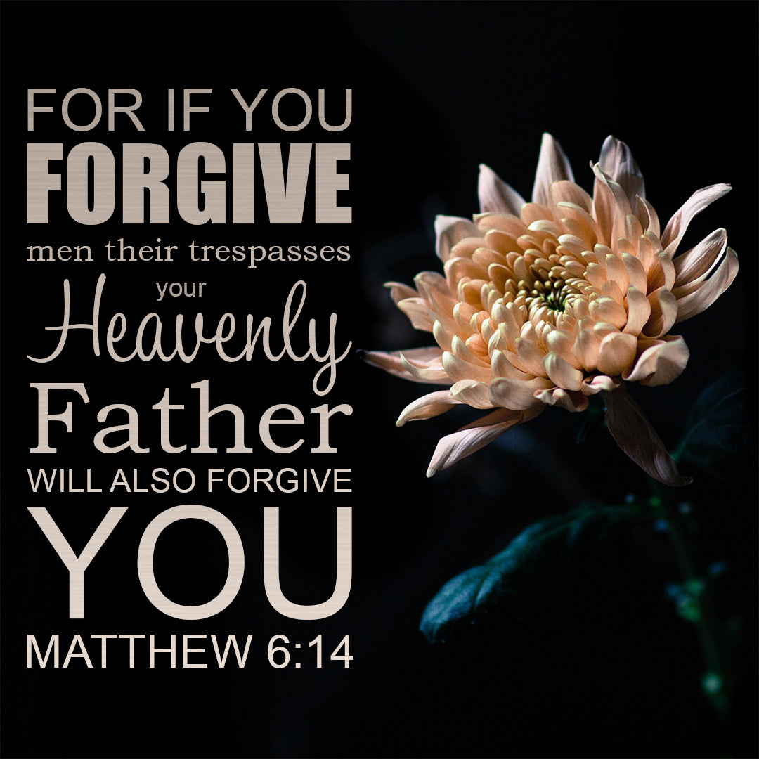 Matthew 6:14 - Forgive and You Will Be Forgiven