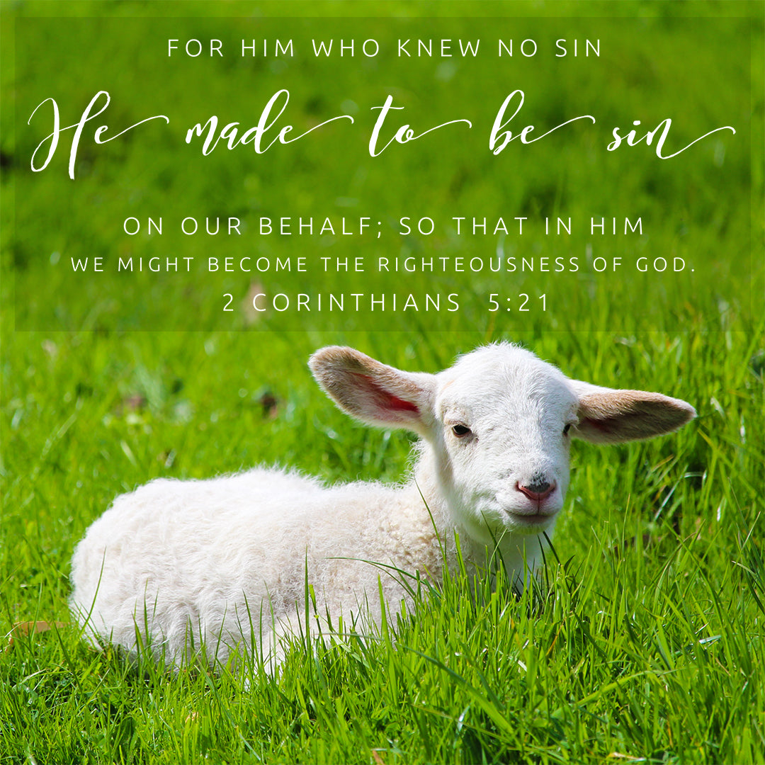 2 Corinthians 5:21 - For Him Who Knew No Sin