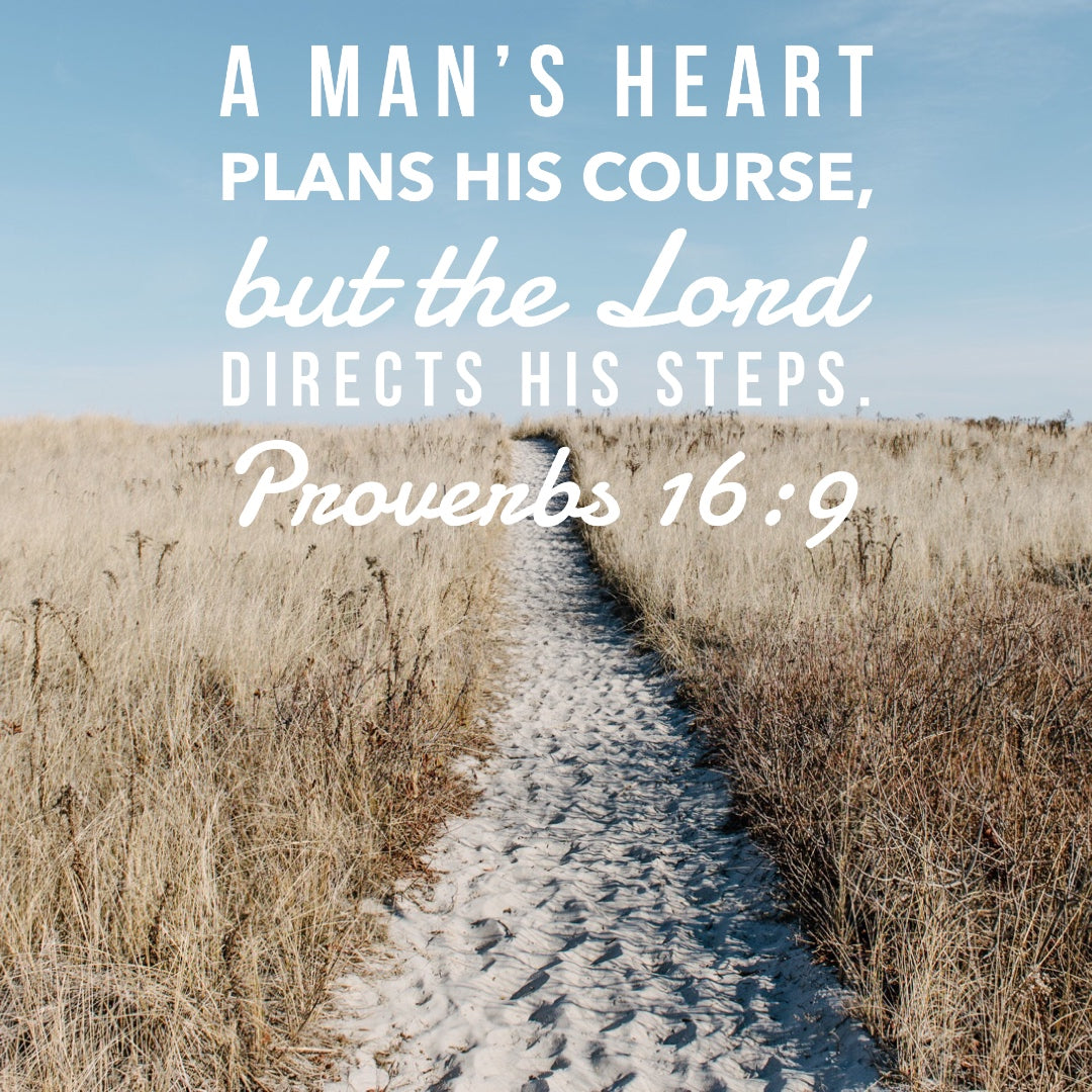 Image result for Proverbs 16:9