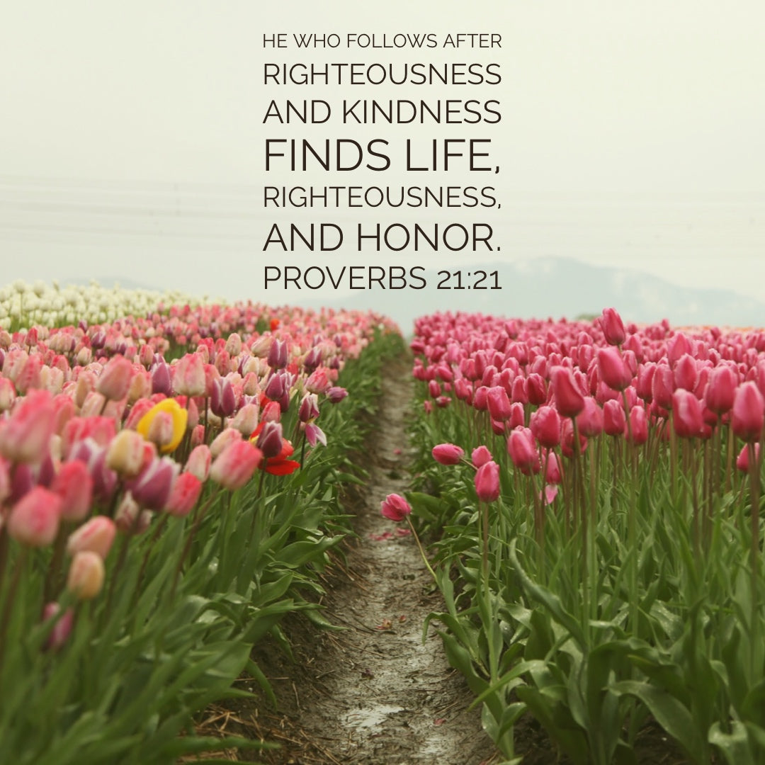 Proverbs 21:21 - Follow Righteousness Find Life