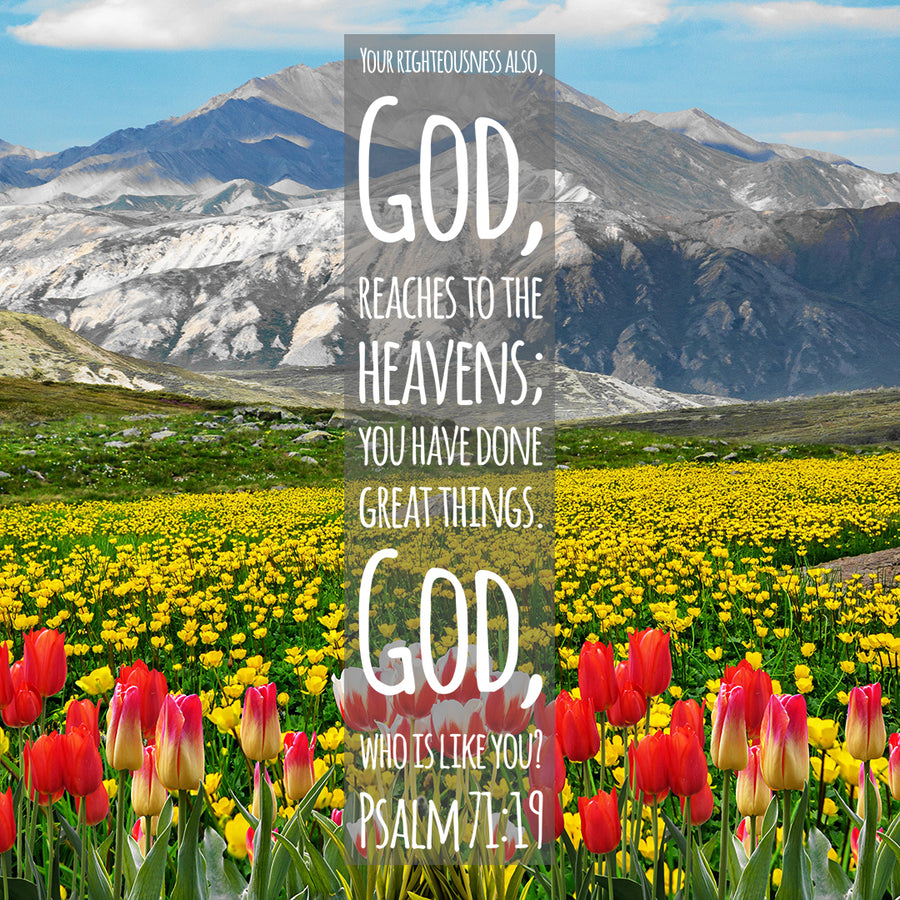 Albums 102+ Images bible verses with beautiful pictures Latest