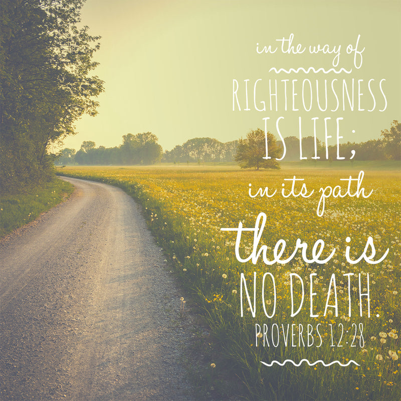 Proverbs 1228 Way of Righteousness Free Bible Verse