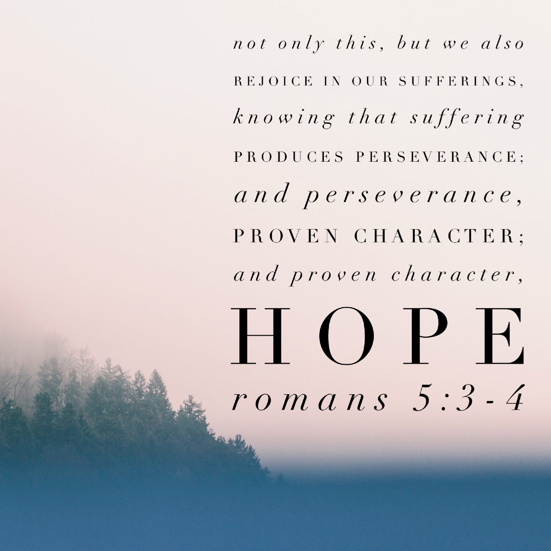 bible verse about perseverance character hope