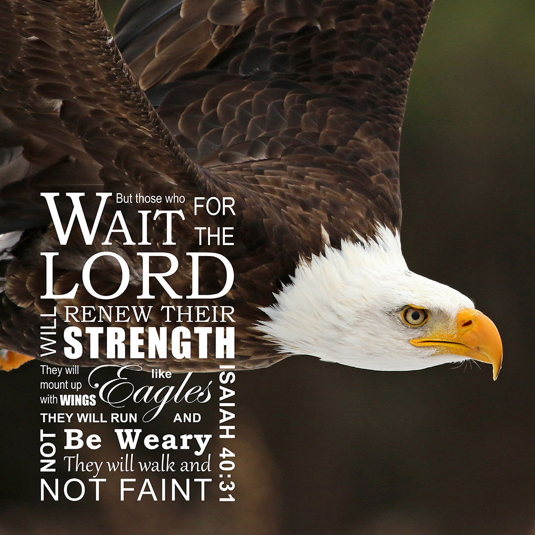 Isaiah 40:31 - Wings Like Eagles - Bible Verses To Go