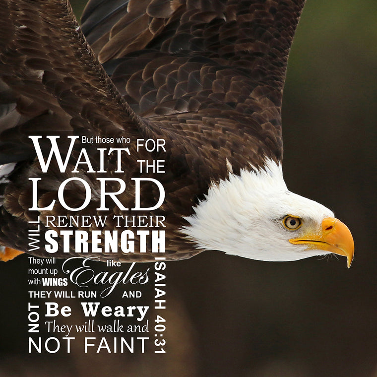 verse bible strength eagle Bible Bible Encouraging Verses Verses To â€“ Go Best