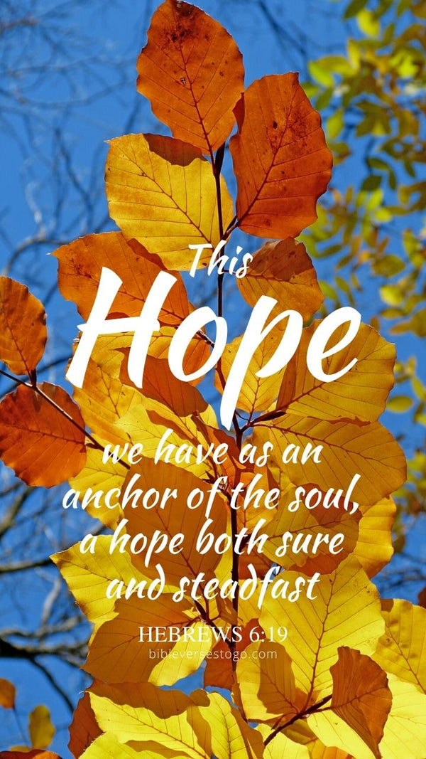 Autumn Leaves Hebrews 6:19 Phone Wallpaper - FREE - Bible Verses To Go