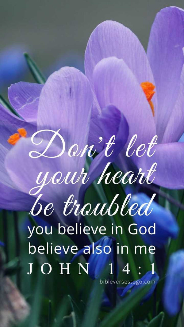 Crocus John 14:1 Phone Wallpaper - FREE - Bible Verses To Go