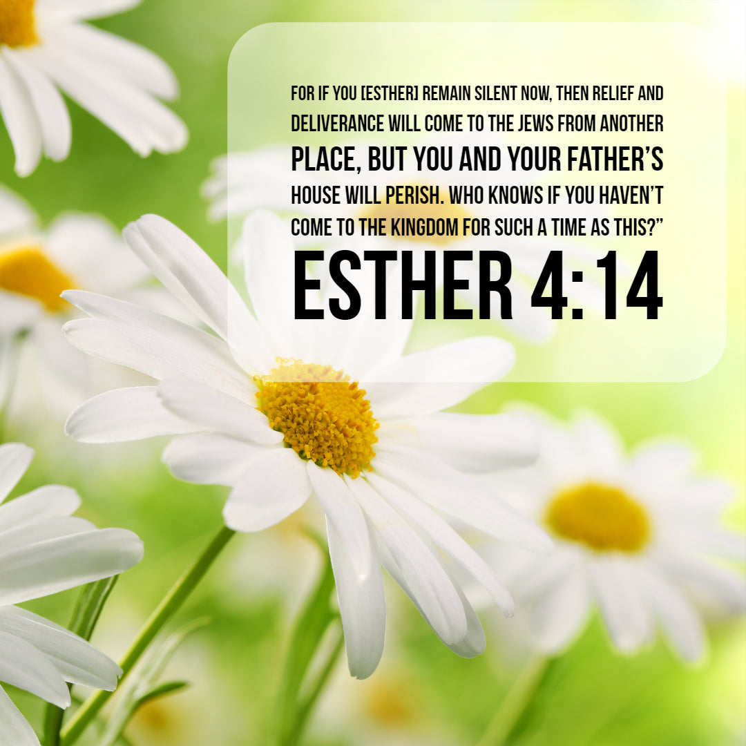  Esther  4 14 For Such a Time As This Free Art Download 