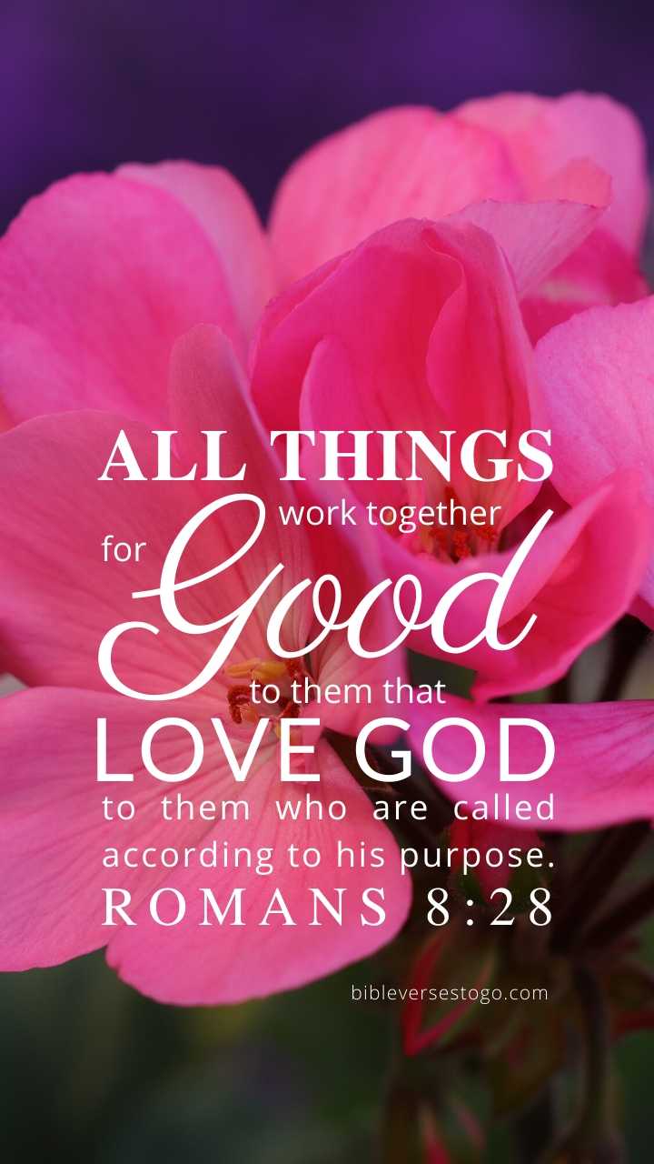 Geranium Romans 8:28 Phone Wallpaper - FREE - Bible Verses To Go