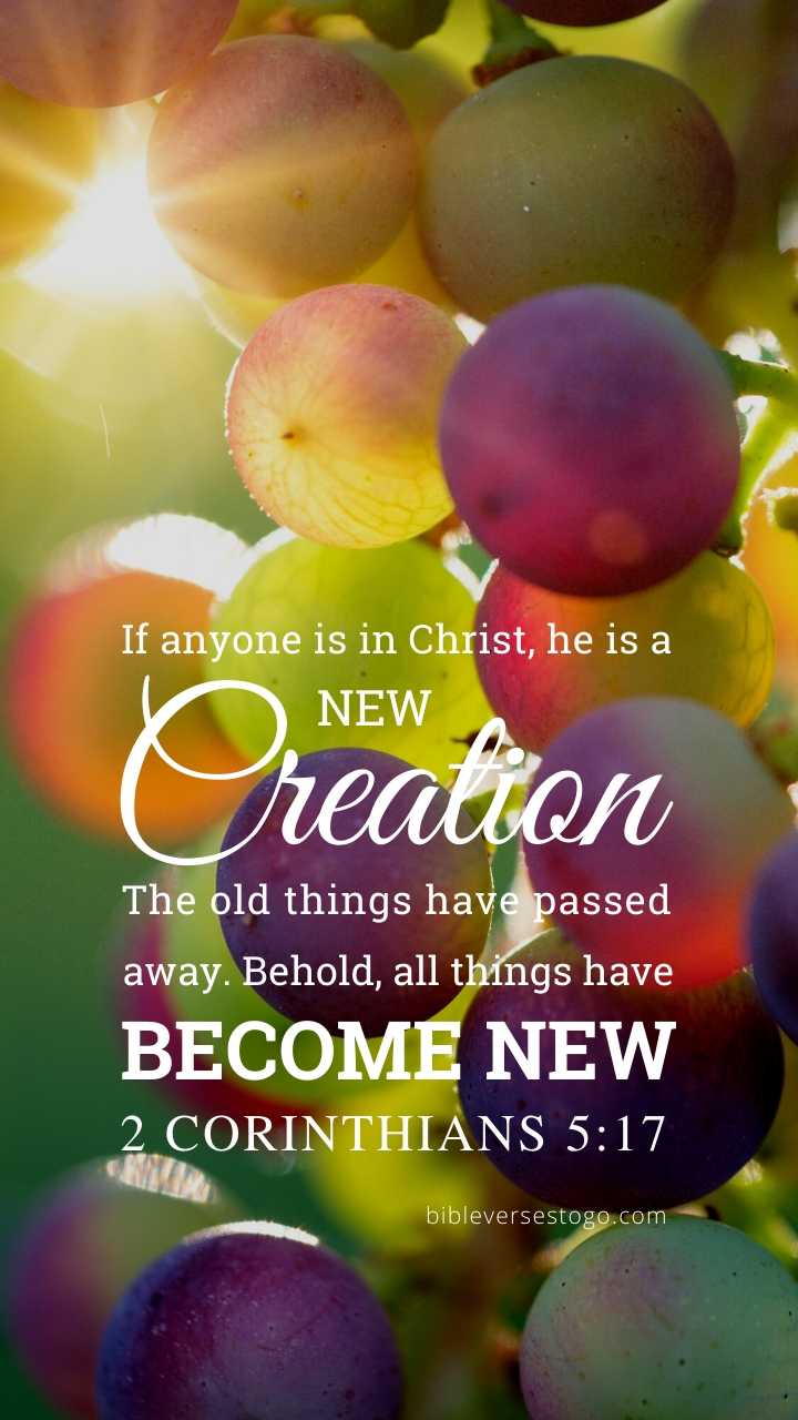 Grapes 2 Corinthians 5:17 Phone Wallpaper - FREE – Bible Verses To Go