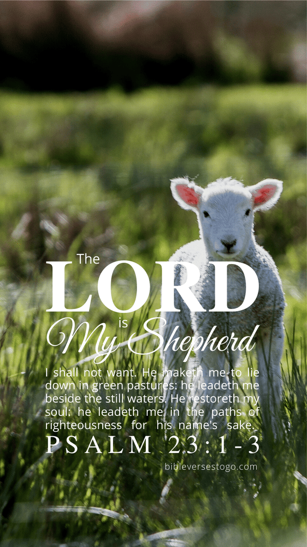 Lamb Psalm 23:1-3 - Bible Verses To Go