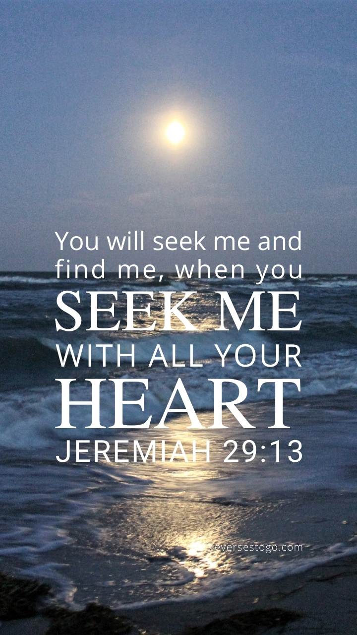 Ocean Sunset Jeremiah 29:13 Phone Wallpaper - FREE - Bible Verses To Go