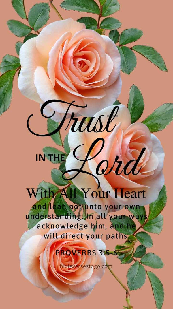 Peach Roses Proverbs 3:5-6 Phone Wallpaper - FREE - Bible Verses To Go