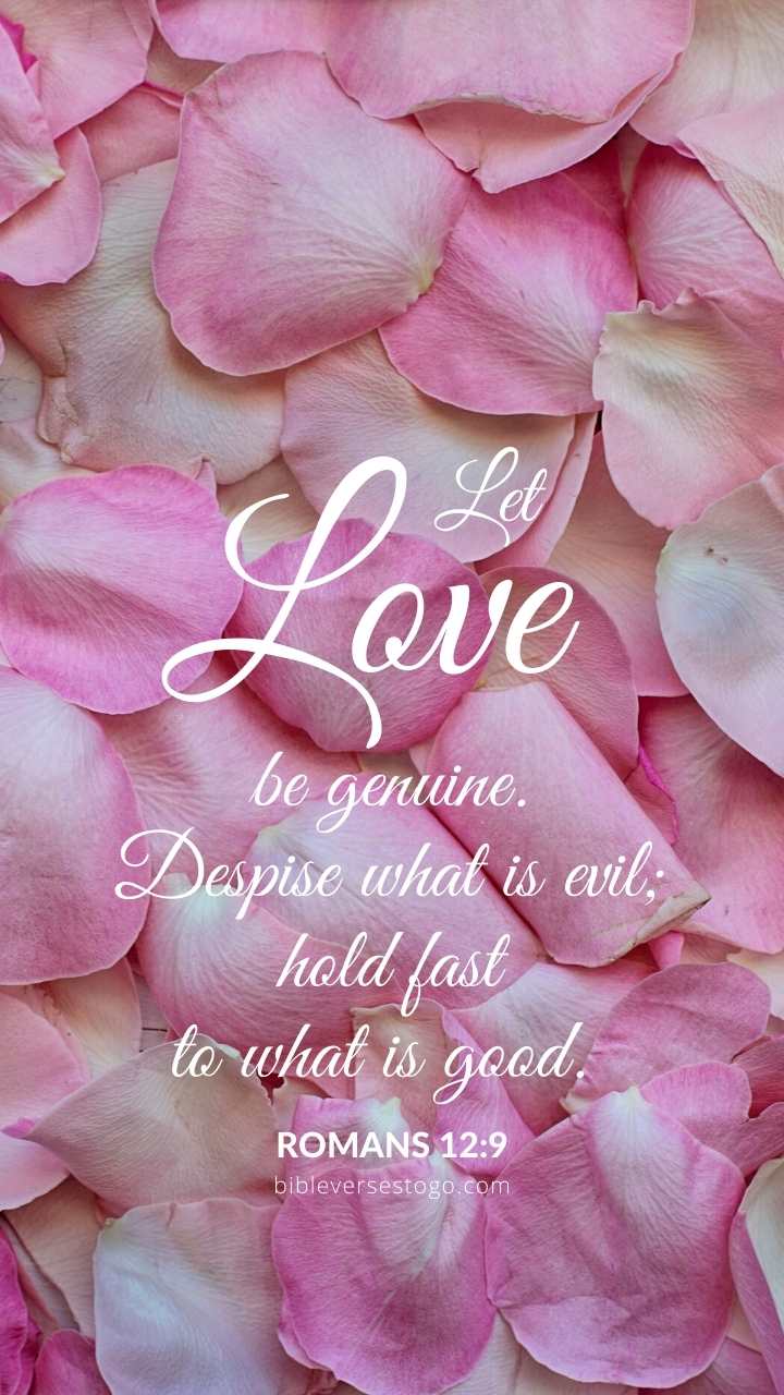 Pink Petals Romans 12:9 Phone Wallpaper - FREE - Bible Verses To Go