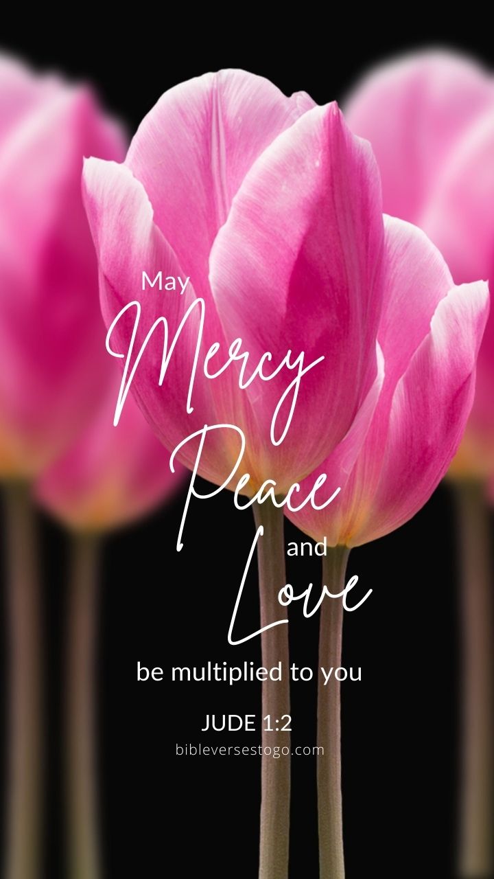 Pretty Tulips Jude 1:2 Phone Wallpaper - Free - Bible Verses To Go