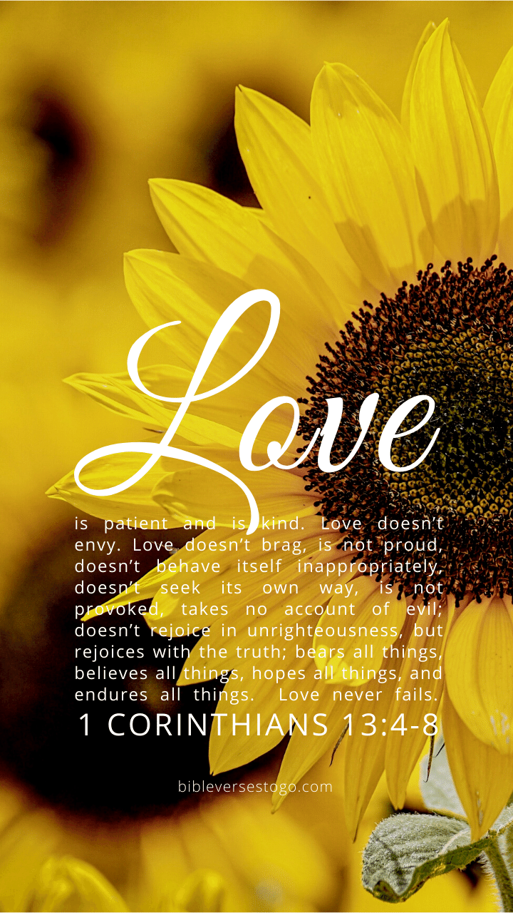 Sunflower Bible Verse Wallpaper - Bible Verses To Go