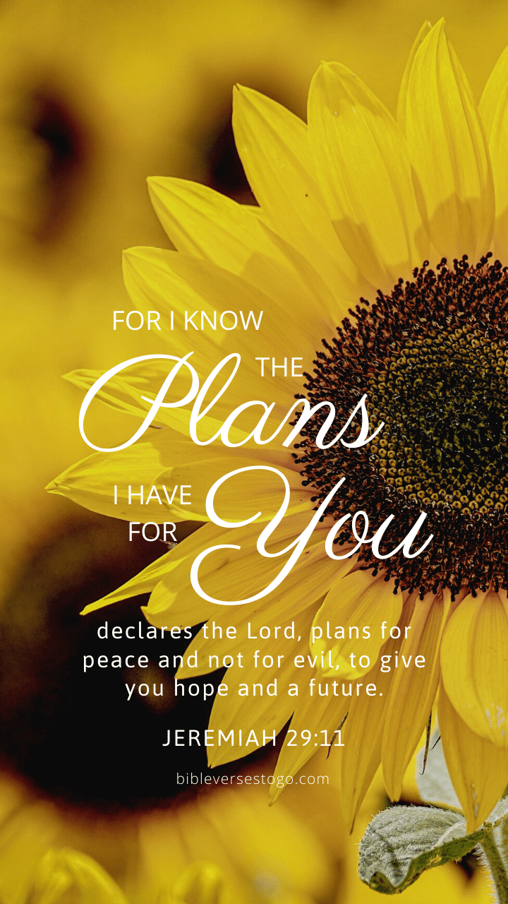 Flower Bible Verse Backgrounds – Bible Verses To Go