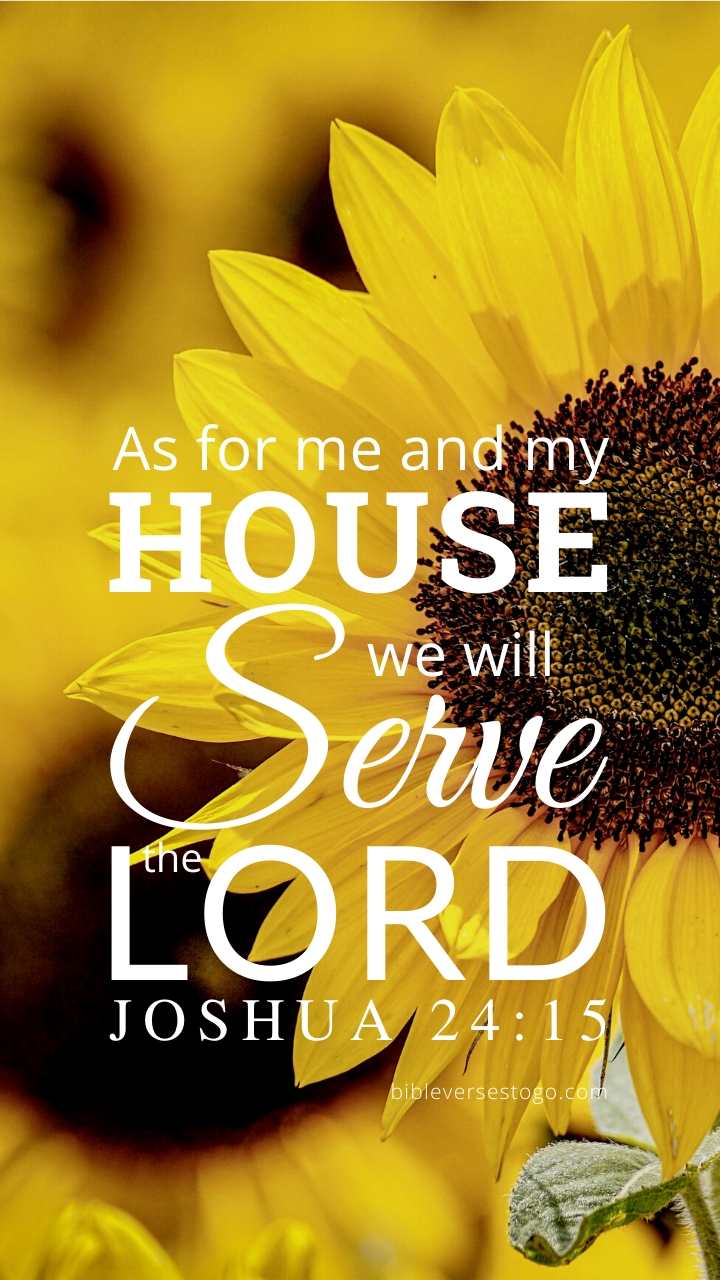 Sunflower Bible Verse Wallpaper - Bible Verses To Go