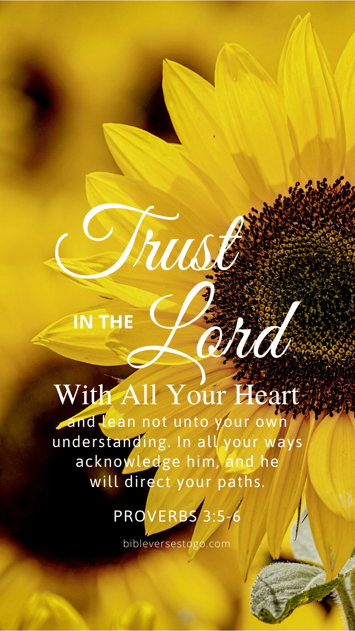 Sunflower Prov 3:5-6 – Bible Verses To Go