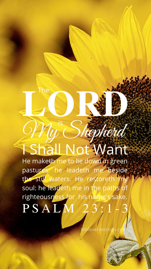 Sunflower Psalm 23:1-3 - Bible Verses To Go