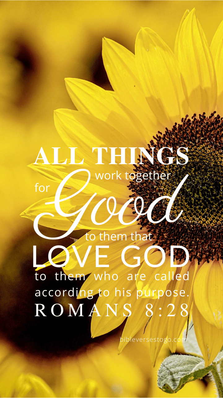 Sunflower Bible Verse Wallpaper