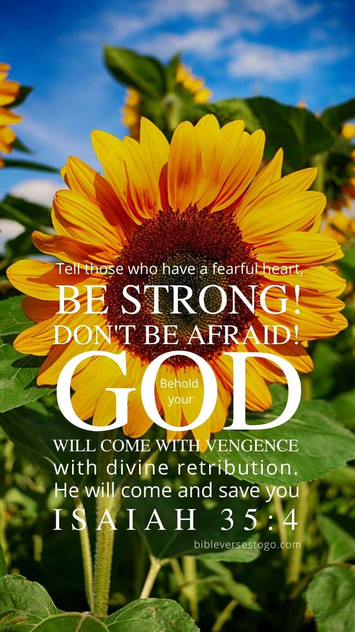 Featured image of post Bible Verse Sunflower Wallpaper With Quotes Photos hd wallpapers telegram pics images to commemorate the crucifixion of jesus christ