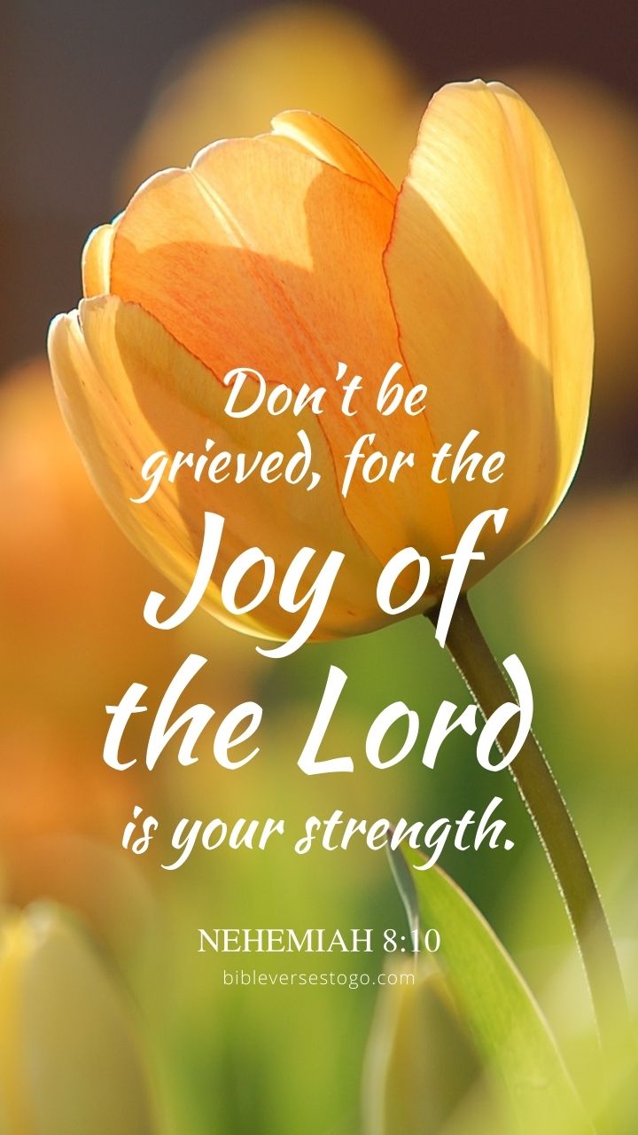 Yellow Tulips Nehemiah 8 10 Phone Wallpaper Free Bible Verses To Go