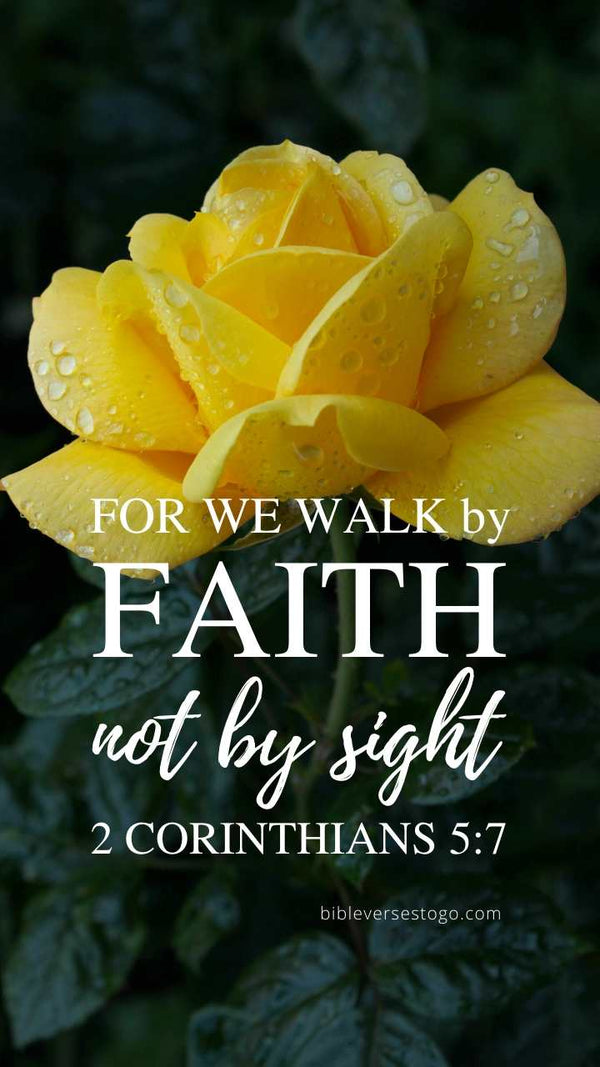 Yellow Rose 2 Cor 5:7 Phone Wallpaper - FREE - Bible Verses To Go