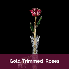 24K Gold Trimmed Abracadabra Rose with Crystal Vase | Top Notch Gift Shop