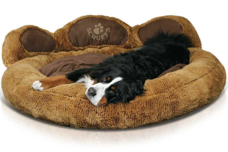 Dog beds and blankets