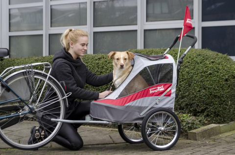 Woman securing dog into it's dog stroller