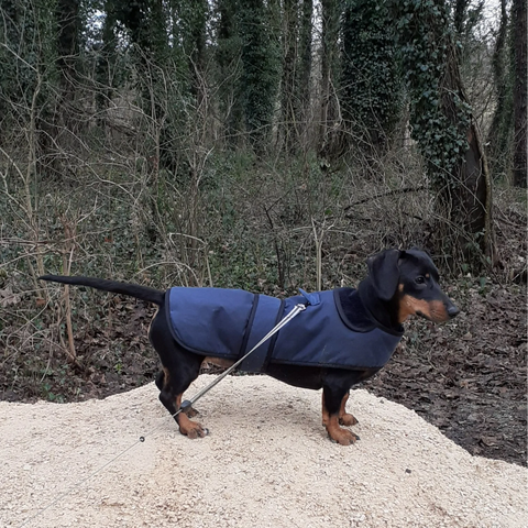 Premium Daschund Dog Coat 