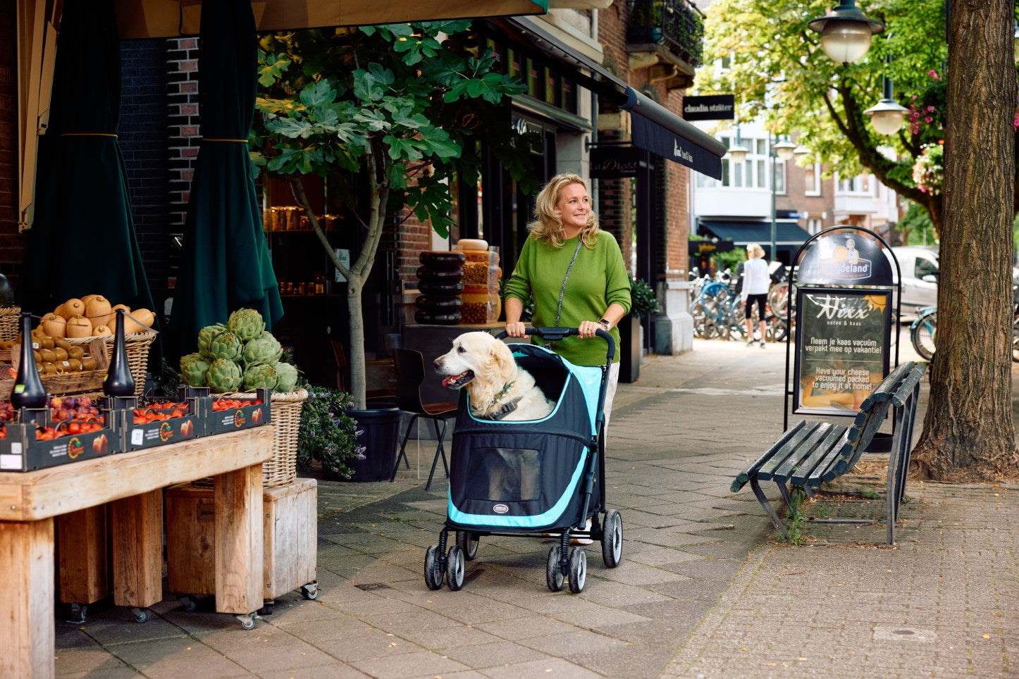 Fluffy dog in a dog stroller