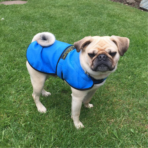 KeepCool Dog Coat